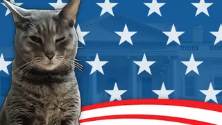Cat President: A More Purrfect Union - Xbox One & Series