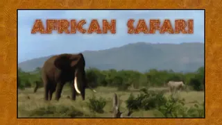African Safari