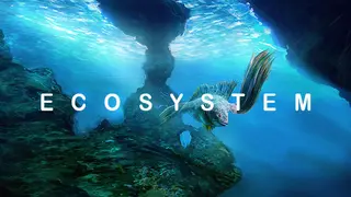 Ecosystem