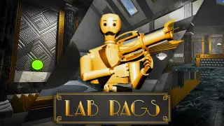 Lab Rags