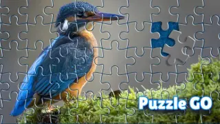Puzzle Go
