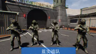 蓝实战队