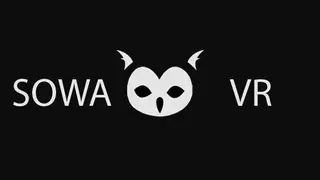 SOWA VR