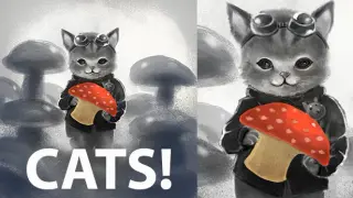 CATS!