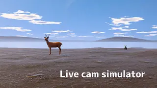 Live Cam Simulator