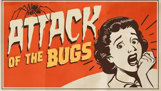 Attack of the Bugs