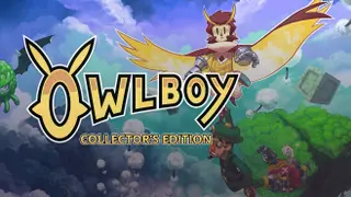 Owlboy Collector's