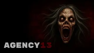 Agency 13