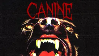 Canine - Switch