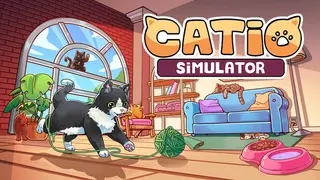 Catio Simulator