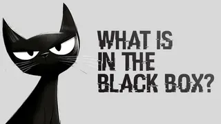 What is in the Black Box?