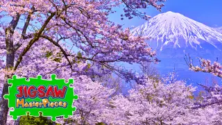 Seasonal Flowers in Japan - Switch