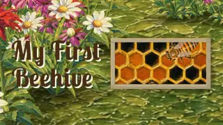 My First Beehive