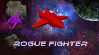 Rogue Fighter
