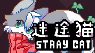 迷途猫StrayCat