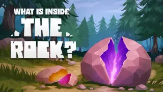 What's Inside the Rock?