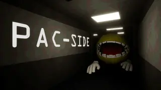 PAC-SIDE