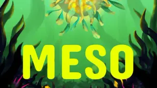 MESO