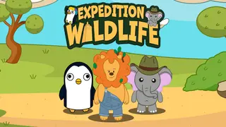 Expedition Wildlife