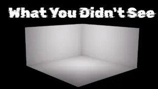 What You Didn't See
