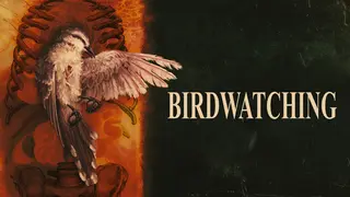Birdwatching
