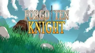 Forgotten Knight