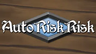 Auto RiskRisk