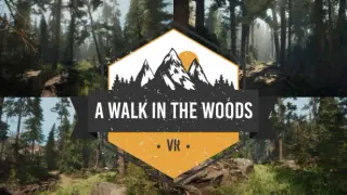 A Walk in the Woods
