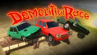 Demolition race