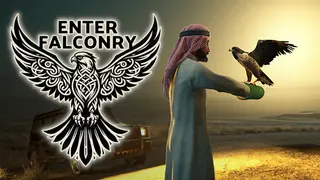 Enter Falconry