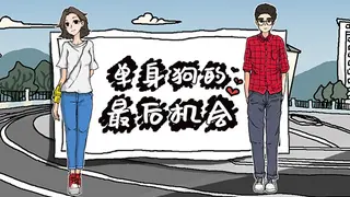 单身狗的最后机会