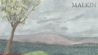 Malkin