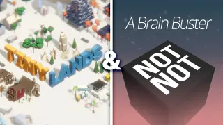 Tiny Lands & Not Not - A Brain Buster - Switch