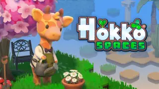 Hokko Spaces