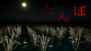 The Paddy Field