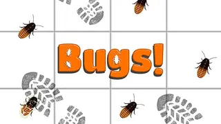 Bugs!