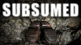 SUBSUMED