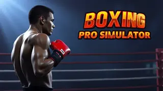Boxing Pro Simulator