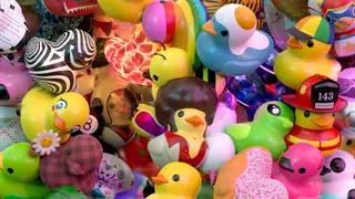 More Ducks Everywhere - Xbox One & Series
