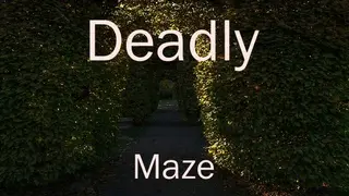 Deadly Maze