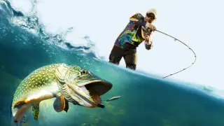 Pro Fishing Simulator - PS4