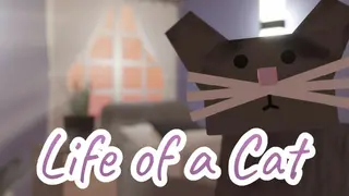 Life of a Cat