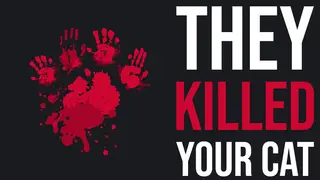 They Killed Your Cat