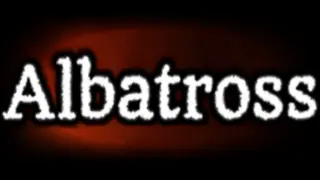 The Albatross