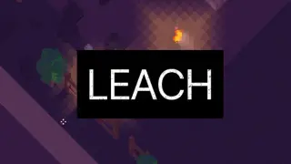 Leach