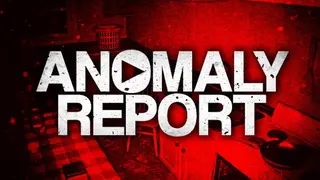 Anomaly Report