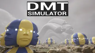 DMT Simulator