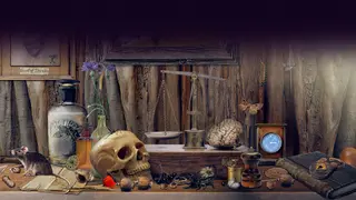 Time Trap: Hidden Objects Remastered Edition - Xbox One & Series