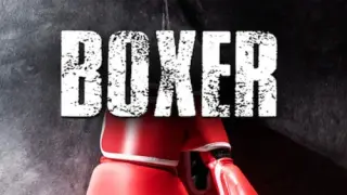 Boxer - Switch