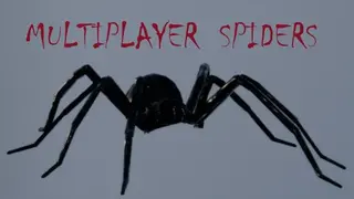 Multiplayer Spiders